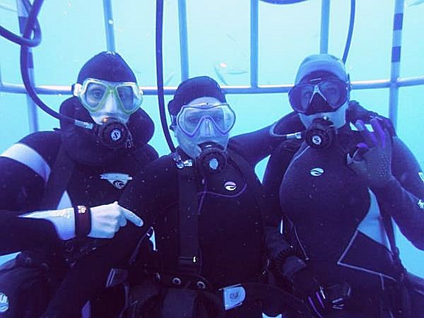 Great White Cage Dive